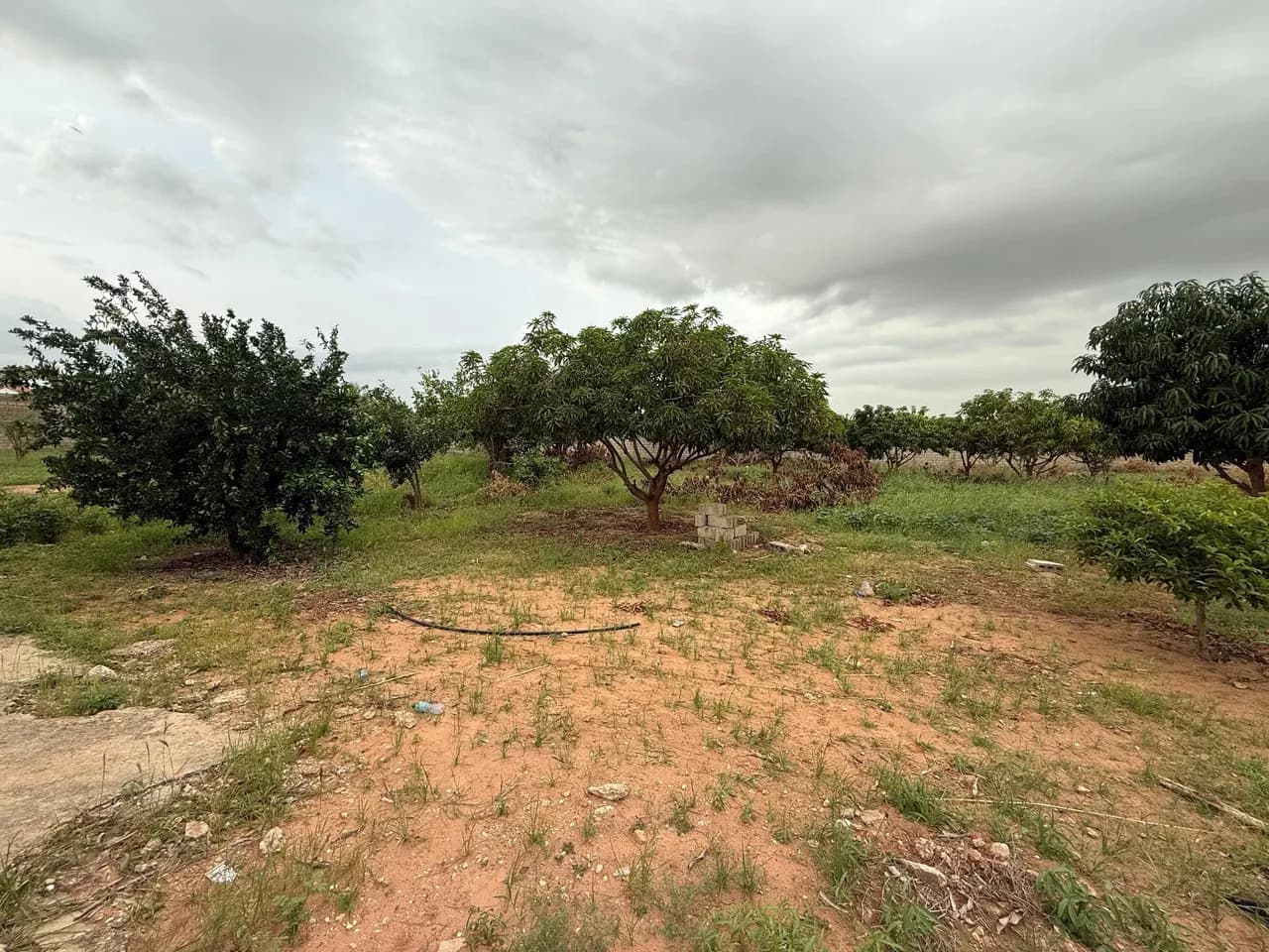 Terrain de 2 000 m² à vendre à Nguerigne Sérère