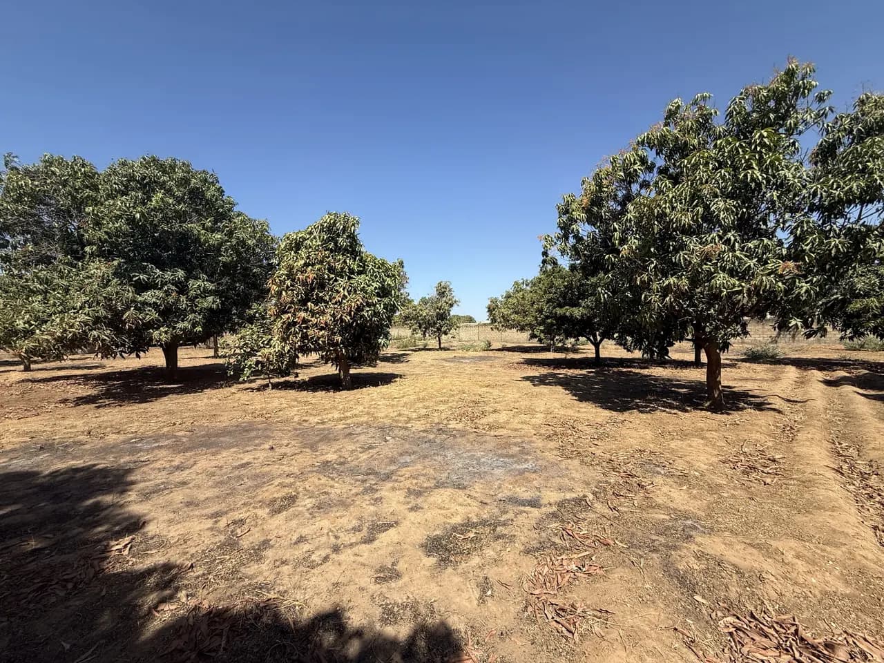 Terrain de 4 996 m² à vendre à Gandigal